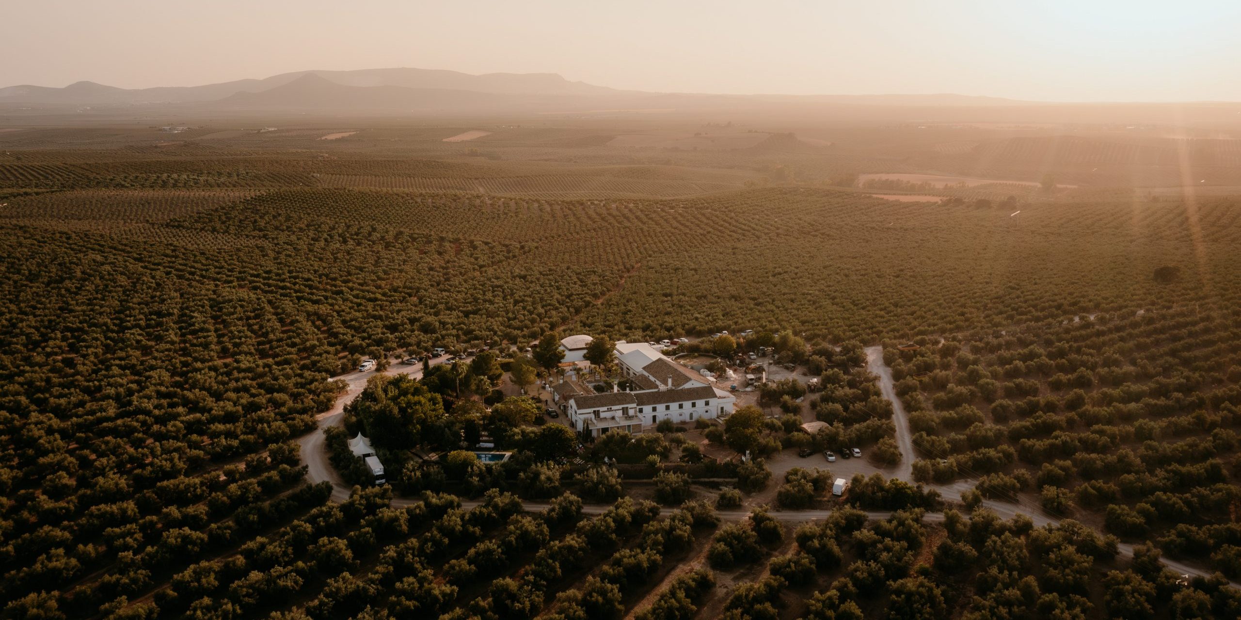 Alejandra & Jose Ángel